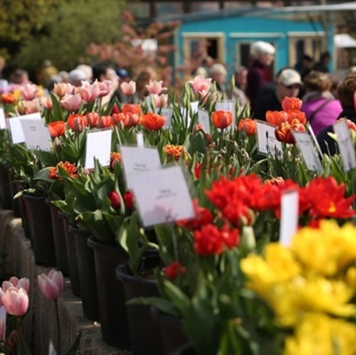 Frühlingsfest „Späth'er Frühling“    